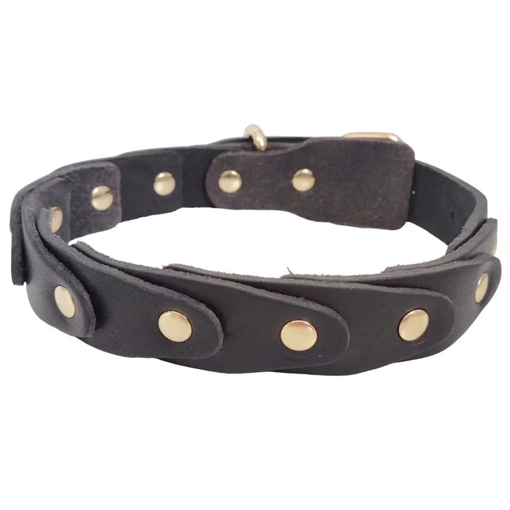 FrenchieLux genuine leather dog collar in black - side view