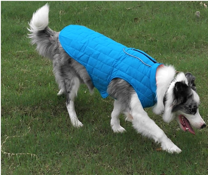 FrenchieLux dog jacket back view