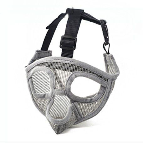French Bulldog wearing FrenchieLux soft basket muzzle