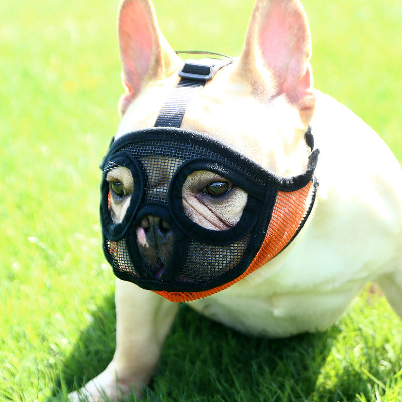 FrenchieLux muzzle color options