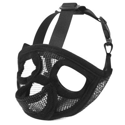 FrenchieLux muzzle size guide for French Bulldogs