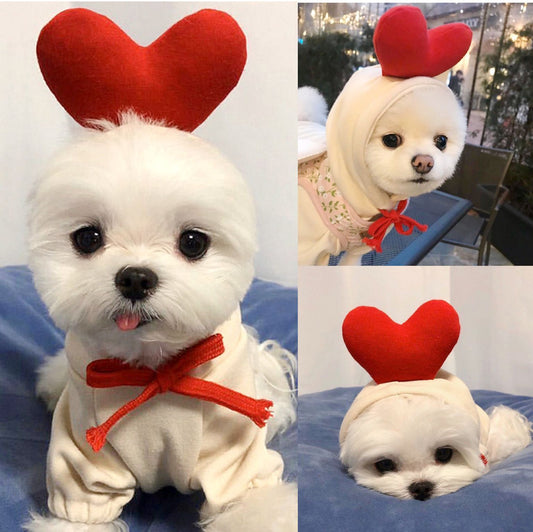 French Bulldog wearing FrenchieLux strawberry hoodie