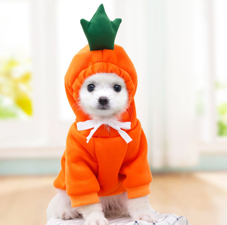 FrenchieLux fleece hoodie cozy indoor lifestyle photo