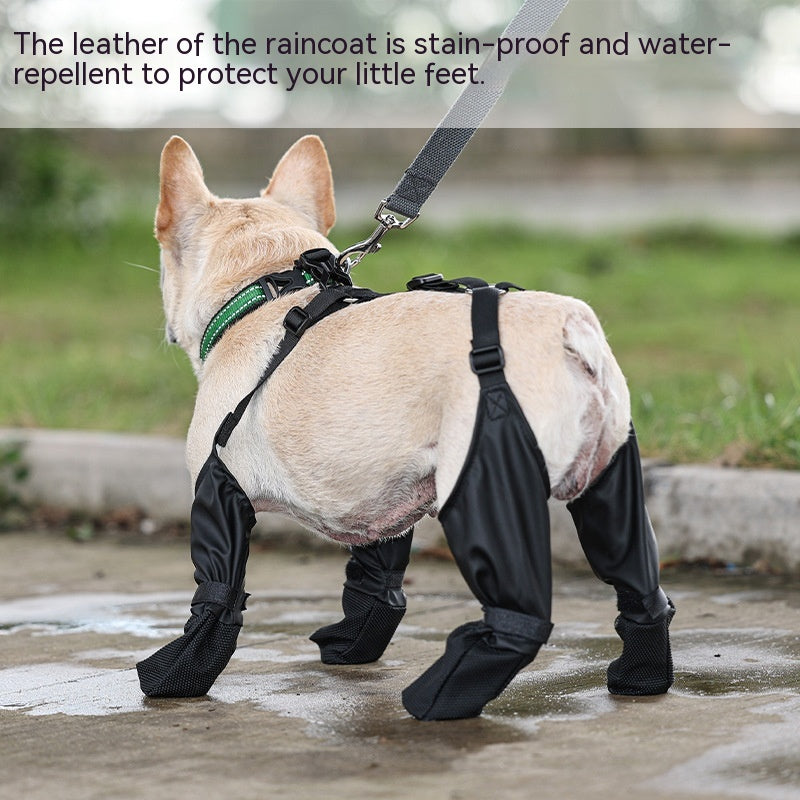 FrenchieLux dog boots fastening strap close-up