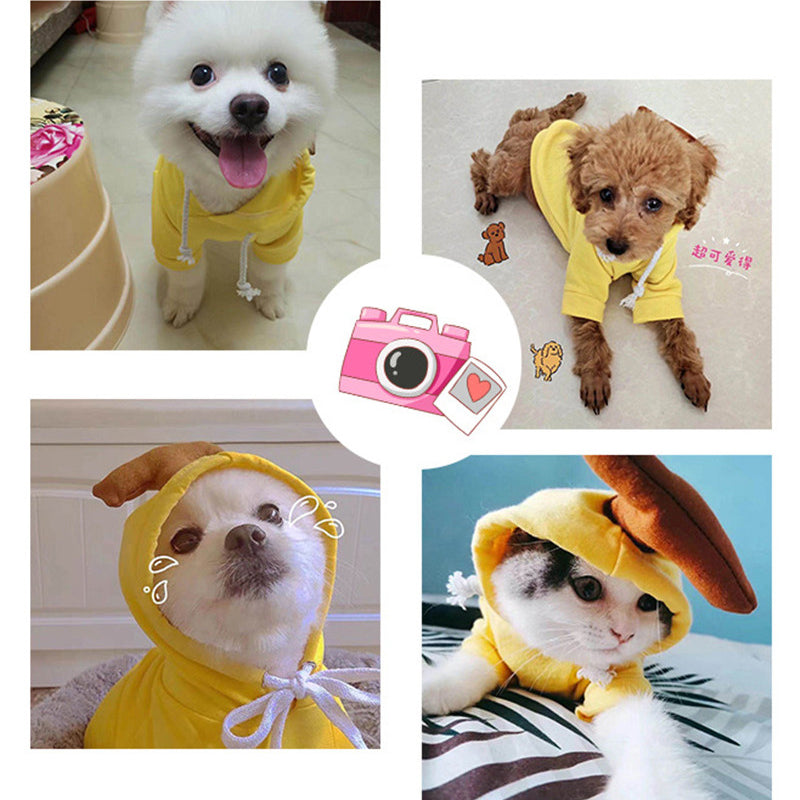 FrenchieLux fruit hoodie color and print options