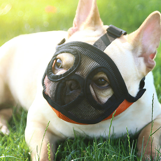 FrenchieLux breathable dog muzzle front view