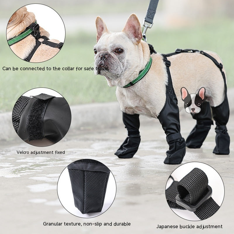 French Bulldog wearing FrenchieLux non-slip boots