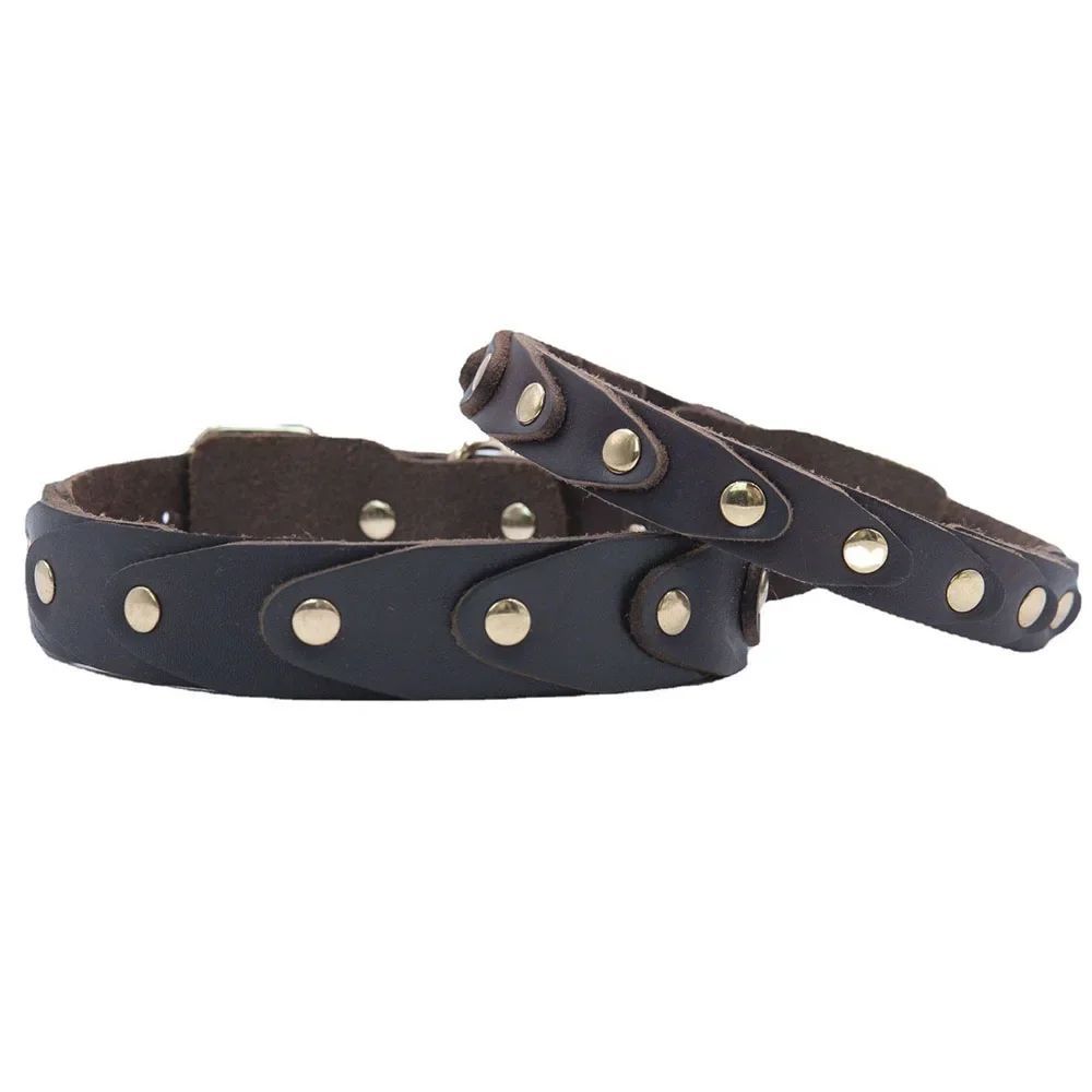 FrenchieLux leather collar lifestyle photo on French Bulldog