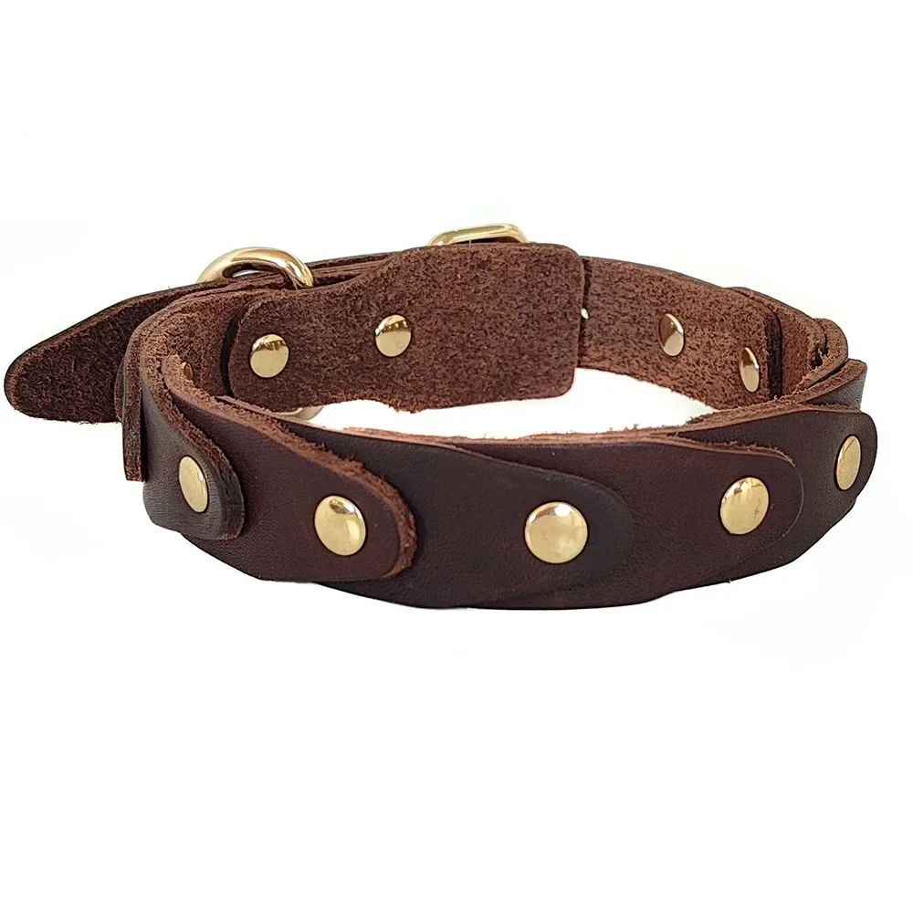 FrenchieLux leather dog collar in brown - full view
